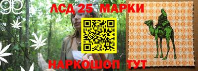 стаф Балахна